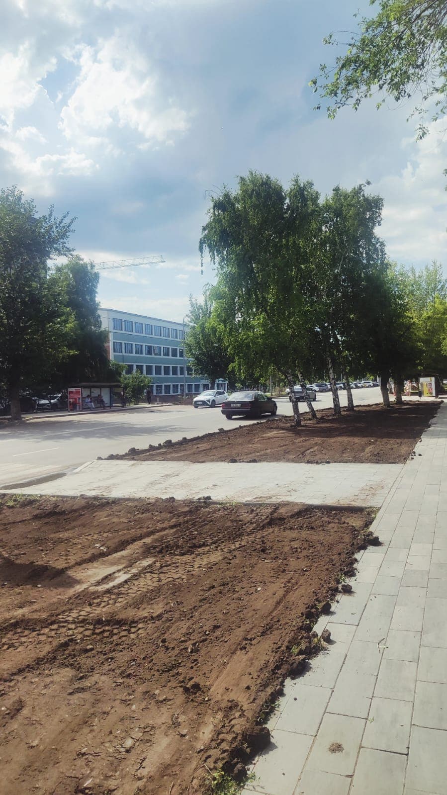 На центральных улицах Костаная появятся новые газоны