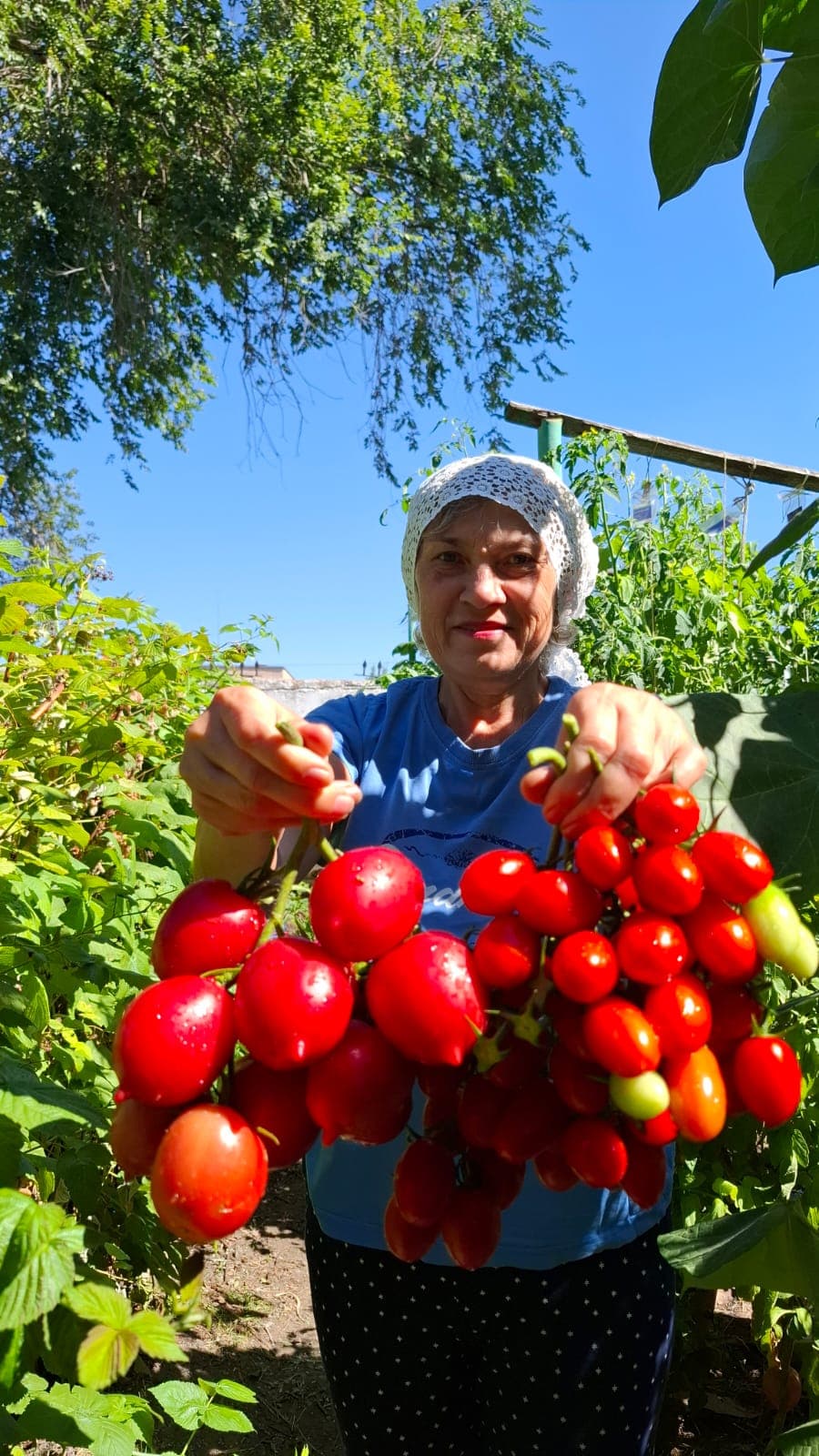 В 60 лет жизнь только начинается. Пенсионерка из Костаная о развитии Instagram и выращивании томатов