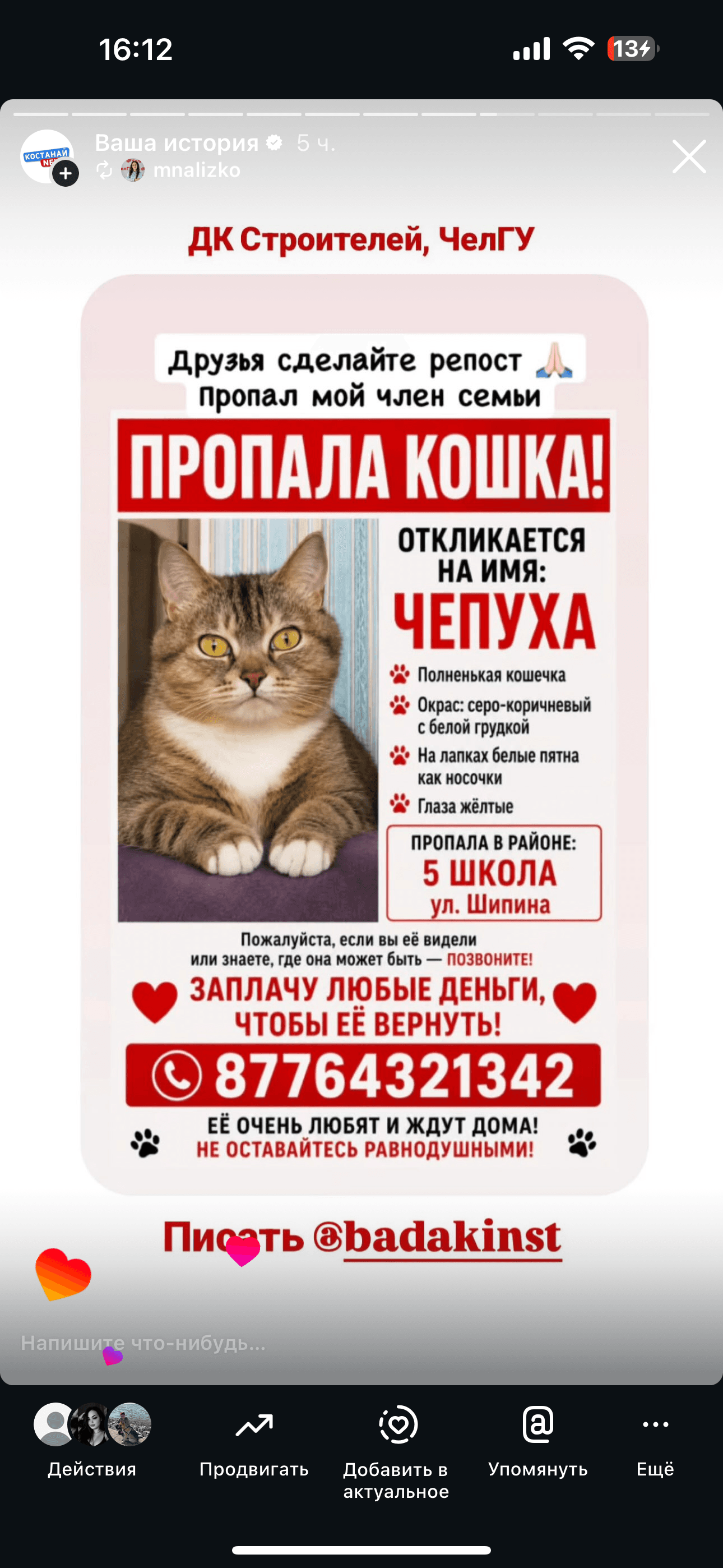 Пропала кошка